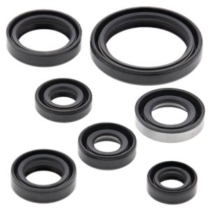 Kawasaki KLX400R Engine Oil Seal Kit - Vertex Pistons - 2003